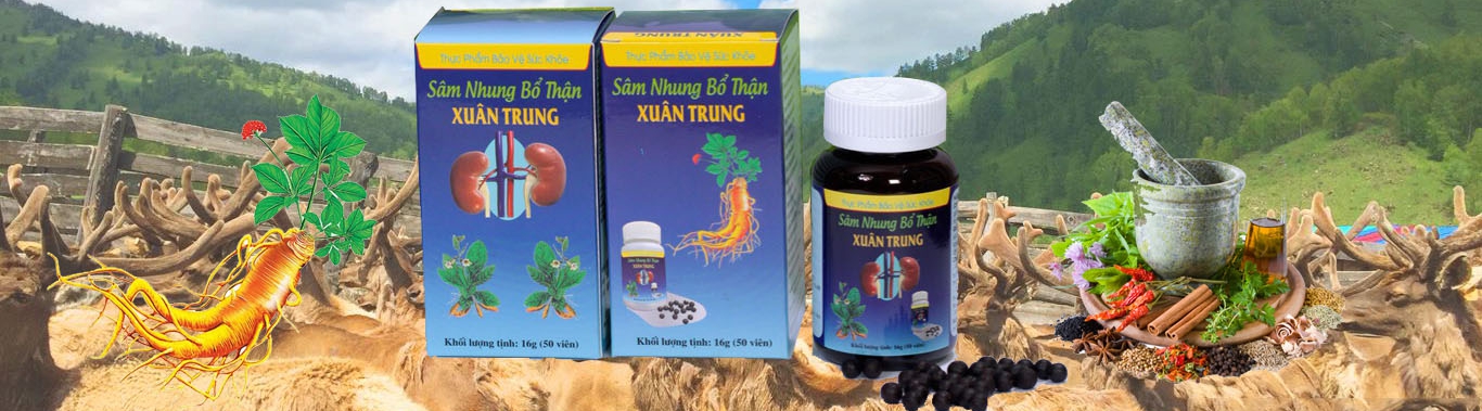 Sâm nhung bổ thận Xuân Trung